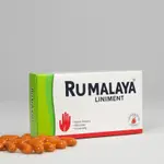 Rumalaya Liniment Günstig Online Kaufen Jetzt Bestellen thumbnail 3